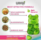 WIXAR NATURALS Sea Moss Gummies - Natural Irish Sea Moss and Bladderwrack with Burdock Gummy - 60 Gummies - Vegan - Healthy Immune, Gut & Overall Wellness Support - Herbal Alkaline Supplements