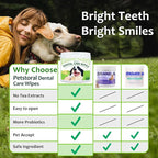 Dental Care Wipes for Dogs and Cats, 50 Count, Teeth and Gum Cleaning, Plaque and Tartar Removal
