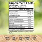 Joint Supplements for Women & Men– Advanced Joint Support Complex with Glucosamine, Chondroitin, MSM & Turmeric – Support for Cartilage, Mobility and Flexibility – 60 Capsules