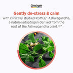 Centrum Clear Mind and Calm Mood Menopause Support Tablets,with Clinically Studied enXtra,30 Count (Pack of 2)