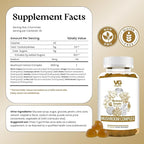 VITA GLOBE Mushroom Complex Gummies with Reishi, Lions Mane Mushrooms, Chaga, Cordyceps & More, Mushroom Supplement for Immune Defense, Energy & Brain Function Support, 250mg, 120 Count (Pack of 2)