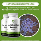 Natural Foundation Supplements Lactobacillus Reuteri Probiotic Supplement 240 Tablets 3 Billion CFU Probiotics for Men & Women Supports Intestinal Digestive & Gut Health (240, Lactobacillus Reuteri)