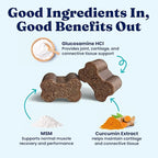 Solid Gold Hip and Joint Supplement for Dogs - Glucosamine Chondroitin MSM for Advanced Joint & Mobility Support - Omega 3 Fish Oil Antioxidant & Immune Health Support