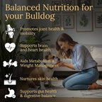 Multivitamins, Balanced Nutrition for Your Bulldog, 90 Count, Made in the USA with Real Bacon
