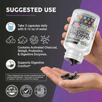 Activated Charcoal Pills for Gas Relief and Debloat, CharcoBiotic with Probiotics Digestive Enzymes Shilajit Peppermint Fennel Ginger Turmeric Licorice Root Aloe Vera Ceylon Cinnamon, Clean Nutra 90ct