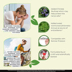 Zenmen Tick Immune Support 180 Vegan Capsules, 2 Bottles - Improved Formula - Japanese Knotweed, Cat's Claw, Chinese Skullcap, Cryptolepis Sanguinolenta, Sweet Wormwood - Made in The USA