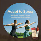 DailyUp Korean Red Ginseng Extract Stick 1000mg - Boost Energy | Enhance Memory | Support Immune System | Vegan | Liquid Supplements (10 Sticks)