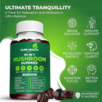 11-in-ONE Mushroom Complex Gummies - 10x Mushroom Supplement W Lions Mane - Nootropic Brain Supplement, Immune Support, All Natural 60 Count Gummies.