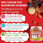 Kids, Teens & Adults Focus Gummies - Lions Mane Mushroom + Saffron + Algae Omega-3, 24-IN-1 Attention Supplement with Chaga, Magnesium, Methylated B12, B6 for Brain, Memory, Energy, Sugar Free, 2Pack