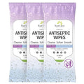 Nurture XL Antibacterial Body & Hand Sanitizing Wipes | Alcohol-Free Antiseptic Wet Towelettes for Germ Removal, Disinfecting Skin, Sanitizing Hands |Cleaning Cloths | Adults & Baby | Thick & Strong