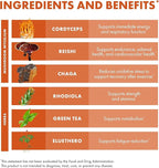 Host Defense MycoBotanicals Energy* Capsules - Energy & Respiratory Support Supplement - Herbal Green Tea Capsules - Respiratory Supplement with Cordyceps, Reishi & Chaga - 60 Capsules (30 Servings)*