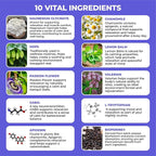 Sleep Aid Support Supplement - Melatonin Free Formula with Magnesium, Valerian, Chamomile, Apigenin, Helps Restful Sleep and Relaxation, No Grogginess Sleeping Pills