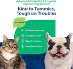 NaturVet – Advanced Probiotics & Enzymes - Plus Vet Strength PB6 Probiotic | Supports and Balances Pets with Sensitive Stomachs & Digestive Issues | for Dogs & Cats (8 oz)