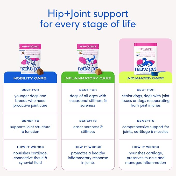 Native Pet Hip & Joint Advanced Care Dog Joint Supplement Powder for Mobility & Movement Support, Joint Supplement for Dogs with HMB, UC-II Collagen, Green Lipped Mussel & Hyaluronic Acid-120 Scoops