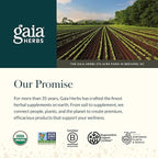 Gaia Herbs Relax Gummies - Supports Calm Feelings* - with Passionflower & Lemon Balm - 45 Vegan Gummies (15 Servings)
