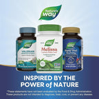 Nature's Way Melissa Lemon Balm Leaf, Traditional Sleep Support*, Melatonin Free, 1500 mg per 3-Capsule Serving, Non-GMO Project Verified, 100 Vegan Capsules (Packaging May Vary), (Pack of 2)