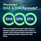 Micro Ingredients Vegan Omega 3 Algae Oil, 240 Veggie Softgels | Fish Oil Alternative | DHA 500mg & DPA 100mg | Carrageenan Free | Plant-Based Omega 3 with Flaxseed & ALA | Lemon Flavored