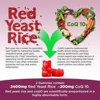 Hollgend Red Yeast Rice with Coq10 Gummies Sugar Free, Organic Red Yeast Rice 2400mg for Cholesterol Lowering Supplements, Enhanced with Coenzyme Q10 200mg for Heart Health Support, 60 Chewables