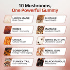 Effective Nutra Mushroom Gummies 2500mg - 10in1 Lion’s Mane, Reishi, Chaga, Cordyceps & More - Focus, Clarity, Memory, Immunity, Energy - Natural Raspberry Flavor, Vegan, Made in USA (2-Pack)