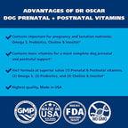 Dog Prenatal Vitamins. The Only 2in1 Prenatal & Postnatal Vitamins for Dogs with Folic Acid, Omega 3, Probiotics, Choline & Inositol, Key for Mother & Puppies, 90 Tablets