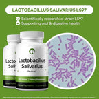 Lactobacillus Salivarius Probiotic Supplement 240 Tablets 3 Billion CFU Probiotics for Men & Women Supports Dental, Digestive & Gut Health (240, Lactobacillus Salivarius)
