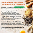 5-in-1 Ceylon Cinnamon Powder Extra Strength – Organic Ceylon Cinnamon Capsules with Turmeric, Apple Cider Vinegar, Korean Ginseng & BioPerine for Metabolism & Energy Support Pills (120 Ct, 2 Pack)