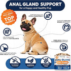 Anal Gland Support Chews for Dogs - 170 Ct - Scoot Treatment - Dog Anal Gland Supplement - Pumpkin, Psyllium Husk, Fiber - Supports Gut Health & Stool Quality - Digestive Enzymes - Made in USA