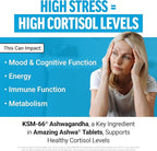 Force Factor Amazing Ashwa, KSM-66 Ashwagandha Supplement for Stress Relief, Focus, Memory, Immune Support, With Vitamins, Minerals & Antioxidants, Cortisol Supplements for Women, 360 Tablets (3-Pack)