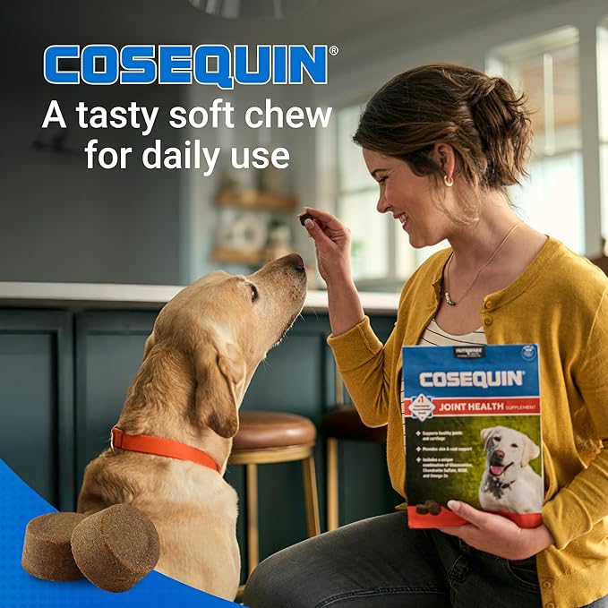 Nutramax Cosequin for Dogs Joint Health Supplement, Contains Glucosamine for Dogs, Chondroitin, MSM and Omega-3s, Supports Joint and Skin and Coat Health, Soft Chews, 60 Count