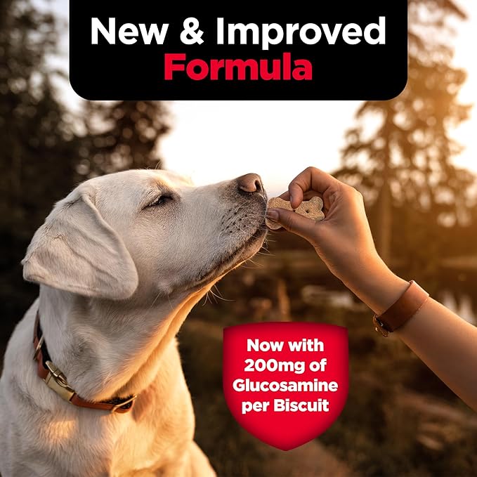 Nutri-Vet Hip & Joint Biscuits, Dog Joint Supplement, Dog Treat, Small Sized Biscuit with 166mg Glucosamine, Puppy Supplements, Tasty Glucosamine Treat, Puppy Essentials, 16 oz Bag