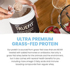 TrueFit High Fiber Protein Powder, Grass-Fed Whey Meal Replacement Shake with Prebiotics, Probiotics, & Organic Superfoods, Keto Friendly, Gluten Free