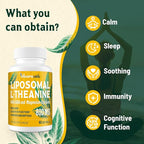 L-Theanine 800mg Supplement with GABA and Magnesium Glycinate - Natural Compound, Sleep and Relaxation (60 Softgels)