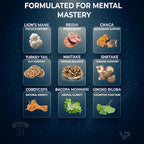 9-In-1 Nootropic Mushroom Gummies | With Lion's Mane, Reishi, Chaga, & More | Enhanced with Bacopa Monnieri & Gingko Biloba | For Focus & Memory | 90 Ct | Sugar Free & Vegan | for Men and Women