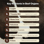 MK Supplements Grass-Fed Beef Organs Capsules | 5 Organs in Nature-Identical Ratios | B12, Copper & Heme Iron | Regeneratively Raised | 150 Capsules