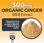 Turmeric and Ginger Supplement with Black Pepper for Better Absorption - Organic Turmeric Curcumin to Support Joint, Heart and Digestive Health, Non-GMO - 120 Tablets