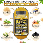 Sea Moss, Black Seed Oil, Ashwagandha, Ginger, Shilajit Gummies with Elderberry, Chlorophyll, Turmeric Bladderwrack Sea Moss Gummies Advanced Strength Formula - All in 1 Bundle - USA Made (60 Gummies)