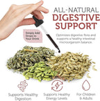 Zahler - ParaGuard Liquid Drops - Gut Health Supplement - Formula has Wormwood, Garlic Bulb, Pumpkin Seed, Clove & More - Natural Support for Humans - Certified Kosher (4 Oz) (4 oz., Drop)