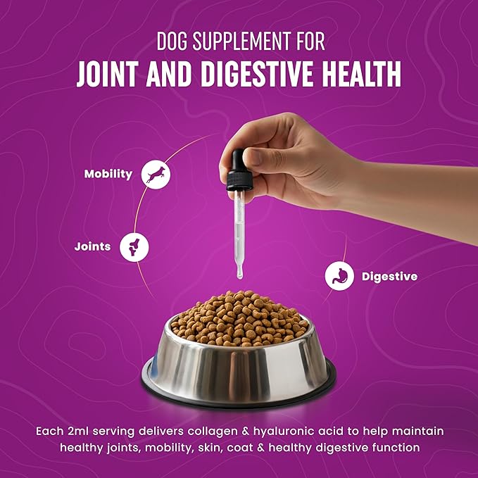 Premium Liquid Collagen for Dogs (120ml) Daily Collagen Dogs Supplement Drops with Types I, II & III & Hyaluronic Acid - Dog Supplement for Joints and Digestive Health - All Breeds & Sizes - USA Made