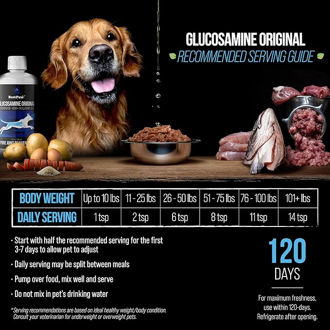 Best Paw Nutrition Glucosamine Chondroitin for Dogs & Cats - Liquid Hip and Joint Supplement with MSM & Hyaluronic Acid - Joint Support for Arthritis, Hip Dysplasia and Pain Relief - 32 oz
