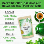 BREWIX, Perfect Mint Tea (20 Pyramid Tea Bags) | Soothing Mint Blend for Digestion Support & Daily Calm | Calming, Fresh and Cool | Caffeine Free Herbal Tea | No Sugar & No Caffeine | Spearmint and Peppermint
