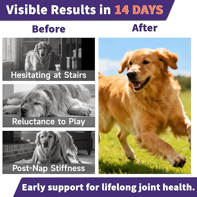 3g 90 Count Hip & Joint Supplement for Dogs with Undenatured Type II Collagen, MSM, Green Lipped Mussel, Glucosamine, Chondroitin Support Mobility, Chicken Flavored Soft Chews