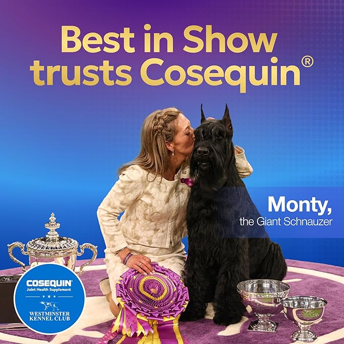 Nutramax Cosequin for Small Dogs, Joint Health Supplement, Contains Glucosamines, Chondroitin, MSM and Omega-3s, Supports Joint and Skin and Coat Health, Soft Chews, 45 Count