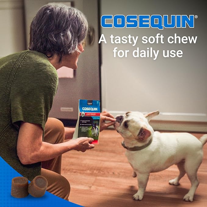 Cosequin Minis Soft Chews Maximum Strength with MSM Plus Omega3,45 Count (Pack of 2)