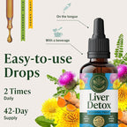HERBAMAMA Liver Support Tincture - Vegan Liver Detox Liquid Drops with Milk Thistle, Dandelion Root & Chanca Piedra - Non-GMO, Alcohol & Sugar-Free Liquid Cleanse Supplement, 42-Day Supply