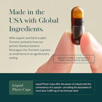 Gaia Herbs Turmeric Supreme Joint Health - Joint Support Supplement with Cucumber, Quercetin, Black Pepper, Ginger Root, Curcuminoids & More* - 120 Liquid Phyto-Caps (60 Servings)