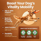 Glucosamine for Dogs Hip & Joint Supplement, Dog Glucosamine Chondroitin for Dogs, MSM & Turmeric – 120 Dog Joint Supplement Chews for Large & Small Breed