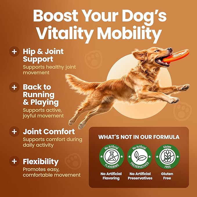 Glucosamine for Dogs Hip & Joint Supplement, Dog Glucosamine Chondroitin for Dogs, MSM & Turmeric – 120 Dog Joint Supplement Chews for Large & Small Breed