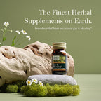 Gaia Herbs Gas & Bloating - Provides Relief from Occasional Gas & Bloating* - with Activated Charcoal, Fennel & Chamomile - 50 Vegan Capsules (25 Servings)