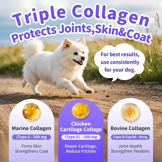 POPPAW Collagen for Dogs - 12-in-1 Liquid Collagen for Skin & Coat Support, Hip & Joint with Types I, II & III Drops, Hyaluronic Acid, Green-Lipped Mussel - Chicken Flavor, 2 FL Oz
