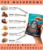 Superfood Mushroom Gummies | Delicious Daily Multi Lions Mane Mushroom Gummy Supplement 2,008 mg | Reishi Mushroom + Cordyceps + Turkey Tail + Chaga + Maitake | Mushroom Gummies for Focus and Energy